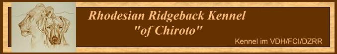 bannerofchiroto