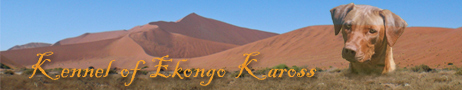 ekongo-kaross