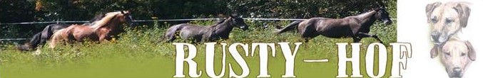 bannerRustyHof